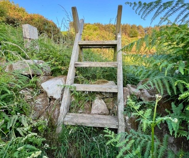 Prayer for the Week – Saturday 26th July 2025