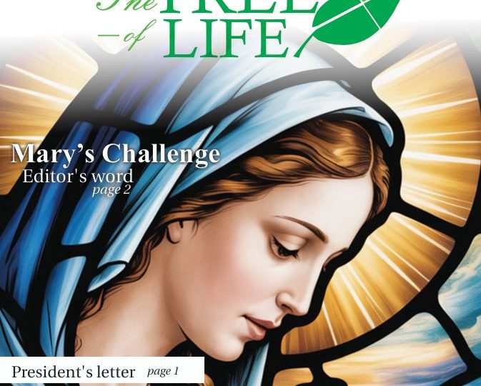 Tree of Life December 2025