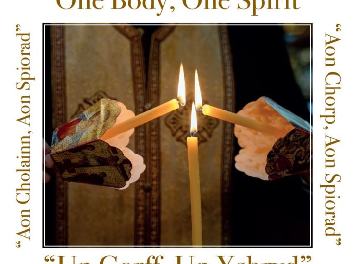 CoChairs Blog – 14th January 2026