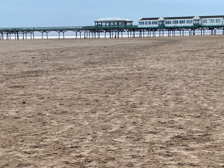 CoChair Blog – 8th February 2026