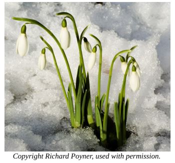 Prayer for the Week – Saturday 28th February 2026