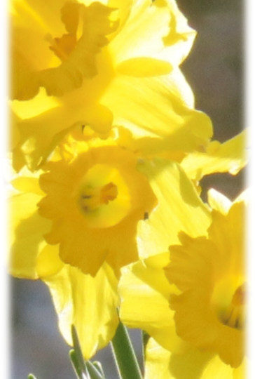 Prayer for the Week – Saturday 2nd May 2026