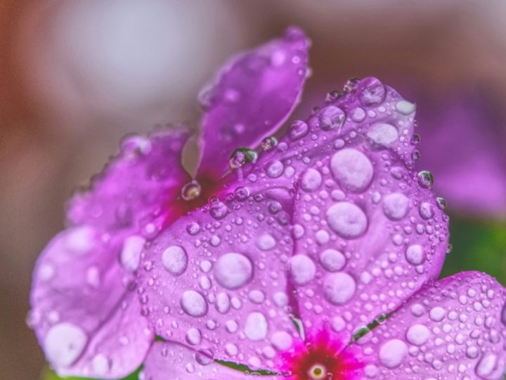 Prayer for the Week – Saturday 9th May 2026
