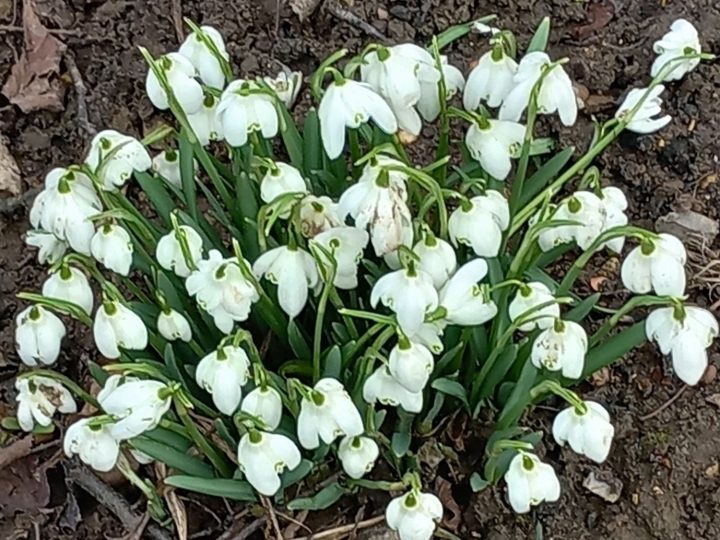Prayer for the Week – Saturday 16th May 2026