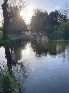 Prayer for the Week – Saturday 13th June 2026