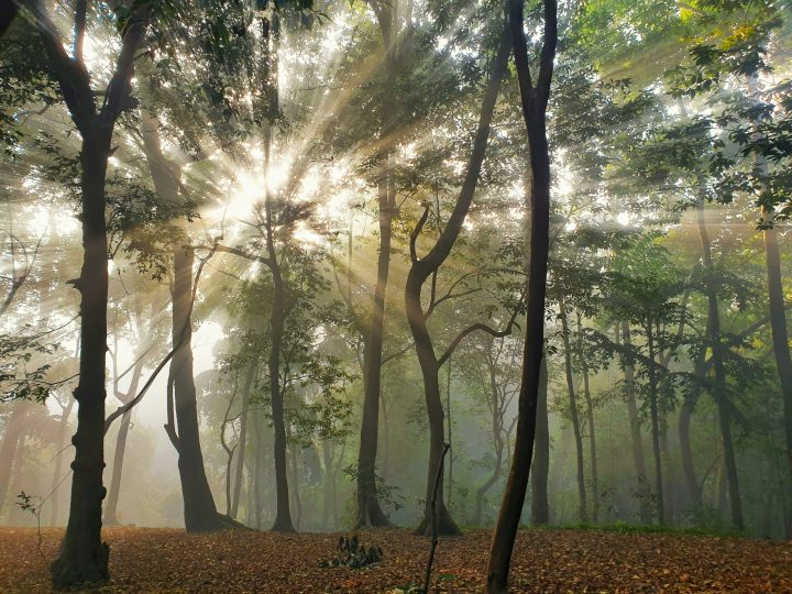 Prayer for the Week – Saturday 17th October 2026